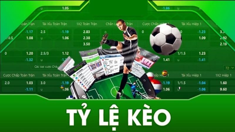 Lưu ý đến các yếu tố cần quan tâm khi soi kèo nhà cái
