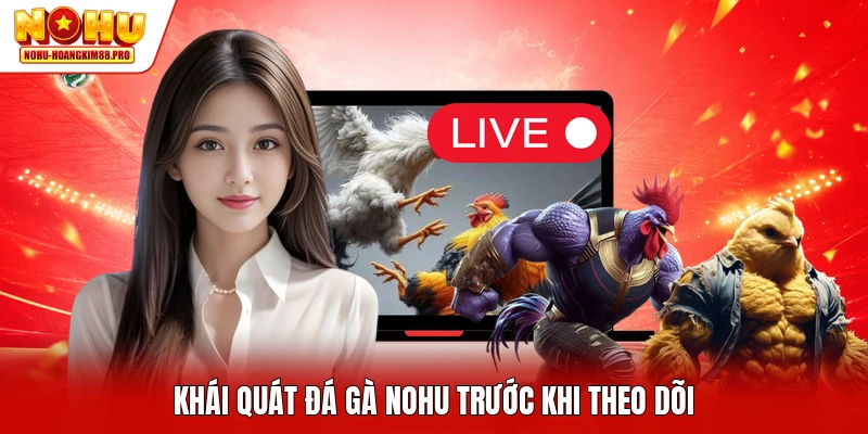 Khái quát đá gà NOHU trước khi theo dõi