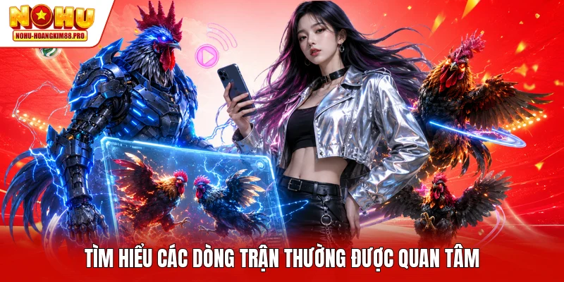 Tìm hiểu các dòng trận thường được quan tâm